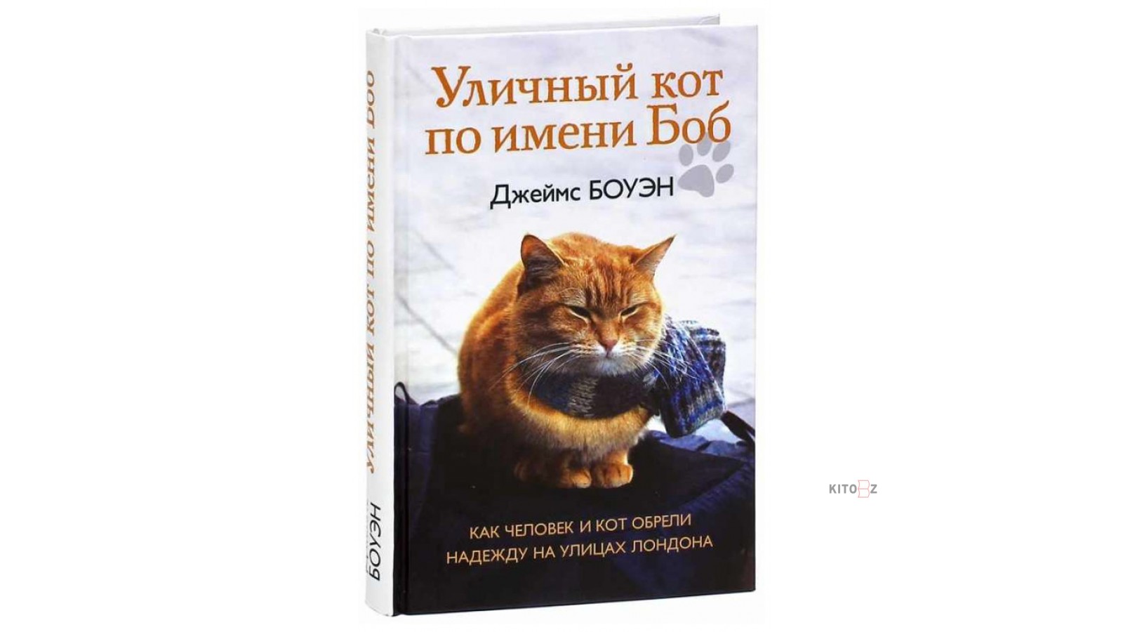 Книга про боба. Боуэн д. "кот по имени Боб". Кот по имени Боб книга. Уличный кот по имени Боб книга. Боуэн уличный кот по имени Боб книга.