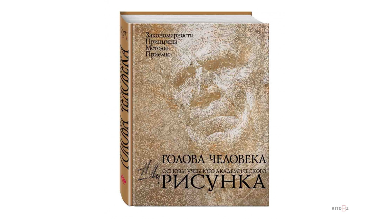 Голова человека основы учебного академического рисунка читать