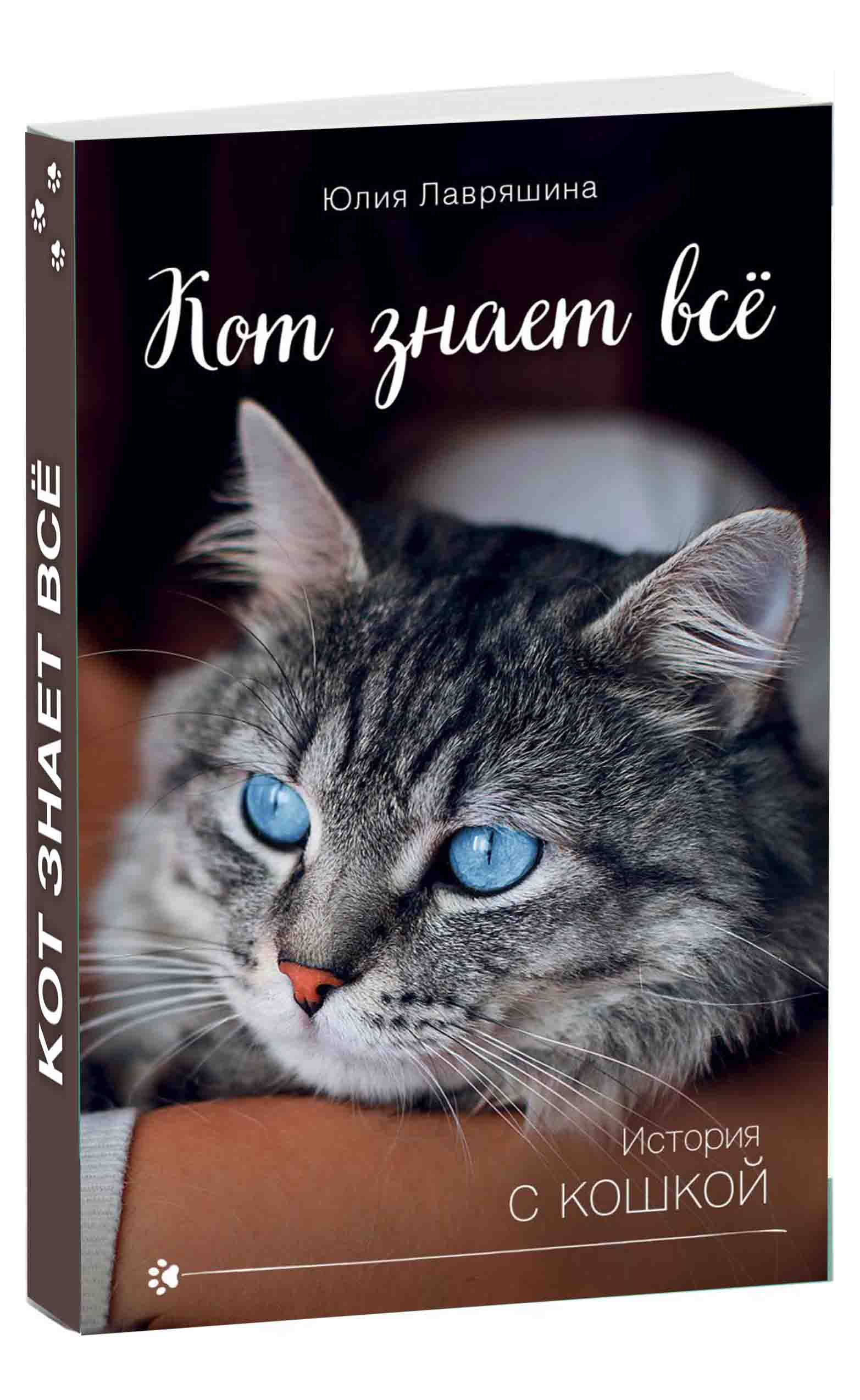 Кошачьи истории